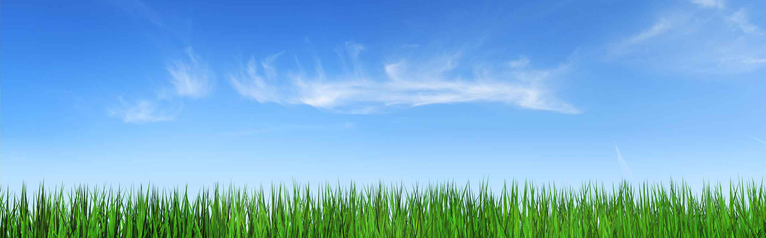 Sugarcane Bagasse Products supplier in bangalore