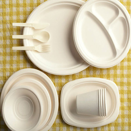 Manufacturing Biodegradable products