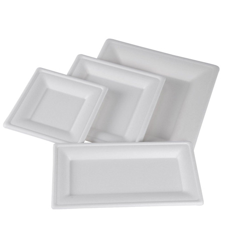 Manufacturing Biodegradable cups