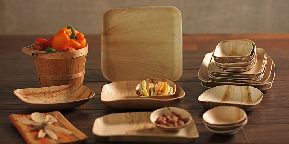 Manufacturing Areca products