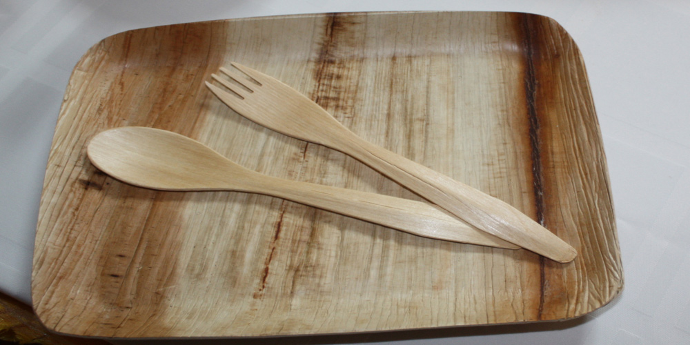 Manufacturing Areca Plates