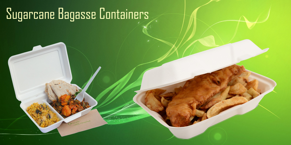 Bagasse box